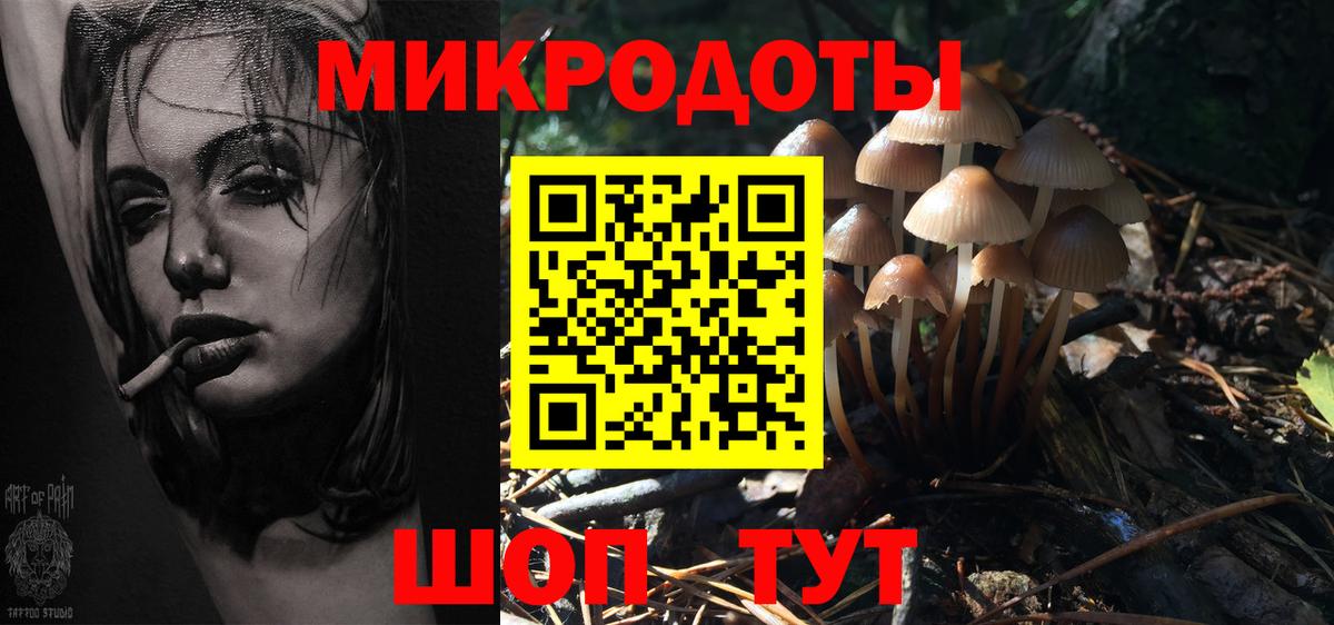 Отрадное  Псилоцибиновые грибы мицелий  Галлюциногенные грибы Cubensis  Вход с VPN 