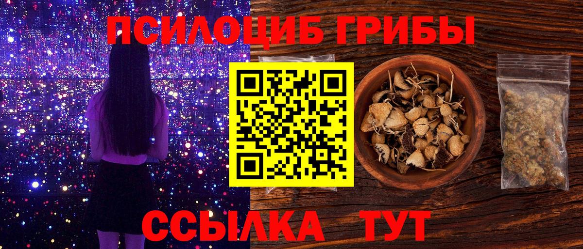 Псилоцибиновые грибы Psilocybe Отрадное
