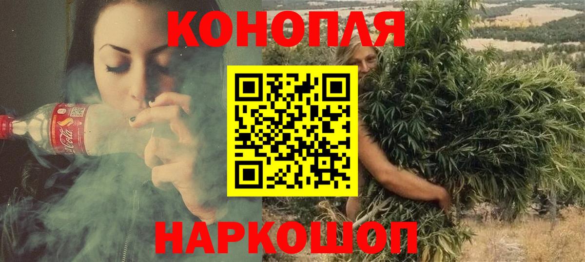Канабис план Отрадное